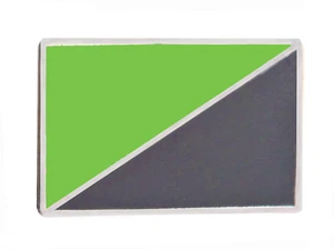 Anarchy Anarcho-Environmentalism Flag Pin Badge - Picture 1 of 4