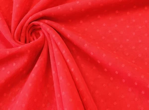 SPITZE TÜLLSPITZE elastisch Punkte 4mm Blusen Kleider ROT EUR 8,98/m - Bild 1 von 2