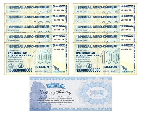 10 Zimbabwe 100 Billion Special Agro Cheque banknote 2008, P-64 USED COA! Cover