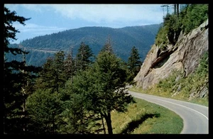 Postcard Clingmans Dome Highway - Great Smoky Mountains National Park, TN - Picture 1 of 2