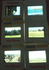 6 Original Vintage 35mm Kodak Photo Color Slide Nature Kodachrome Transparency - Picture 1 of 10