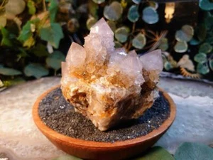 550g Spirit Quartz Cluster from ZA / Cactus Quartz / Spirit Amethyst / JSQ#219 - Picture 1 of 9