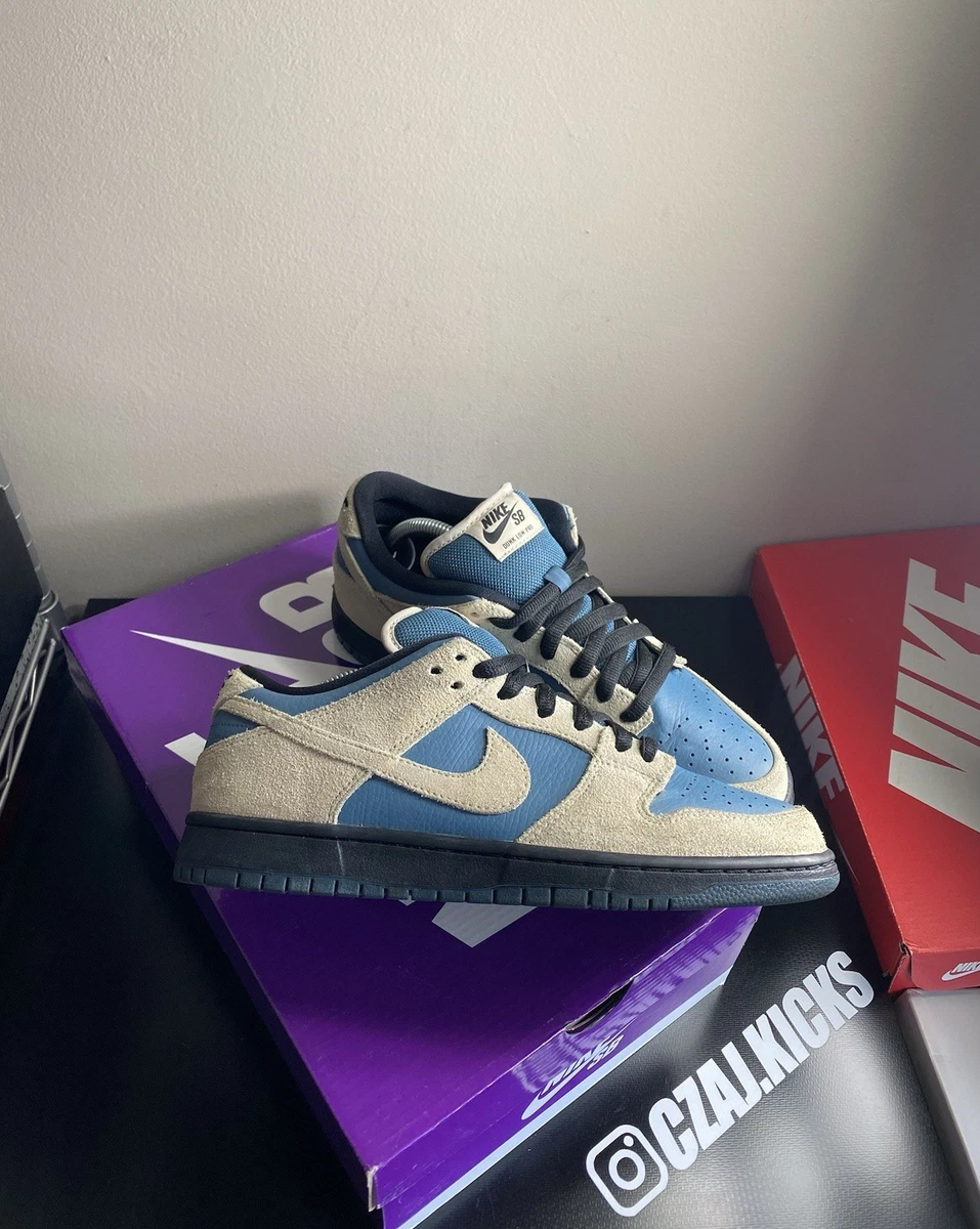 Nike Dunk Pro SB Low Thunderstorm | eBay