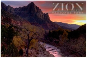 MWP-UZ020: Zion Nationalpark (2000) - Postkarte des Virgin River!     - Bild 1 von 2