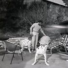 1959 JOHN SAXON At Home Original 2-1/4" Photo Negative ACTOR gp