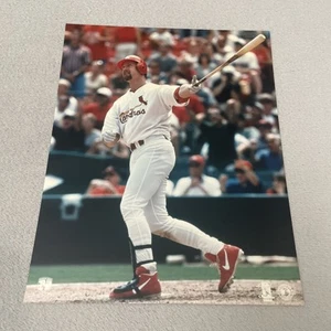 St Louis Cardinals Mark McGwire 8x10 Photo MLB Baseball Print #5 - Picture 1 of 7