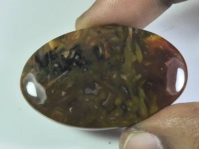 52Cts. Natural Tree Moss Agate Oval Cabochon Loose Gemstone 25X41X05MM p237 - Image 1 of 4