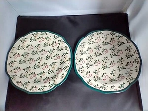 Pioneer Woman Fall Flowers Green Salad/Dessert Plates, (2) No Chips or Cracks - Picture 1 of 4