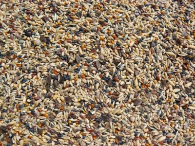 Waldvogelfutter 25 kg Vogelfutter Wildvogelfutter Winterfutter Samen Vogelsamen - Bild 1 von 2