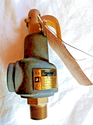 Dresser 3/4" CONSOLIDATED PRESSURE RELIEF VALVE 1543E - 125 psi - Safety Valve - Image 1 of 4