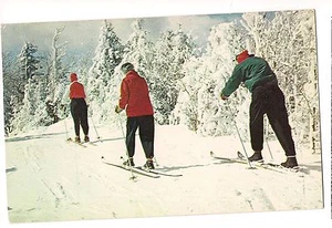 ON THE SKI TRAIL Skiing Winter Sports Snow  New Hampshire NH Postcard   - Picture 1 of 2