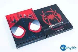 Spider-Man: Into the Spider-Verse + IMÁN DE RESINA 4K + 3D + 2D Blu-Ray Steelbook - Imagen 1 de 12