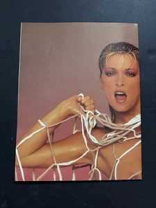 Calendario de pared pin-up 1988 vintage - póster coleccionable raro - Imagen 1 de 8
