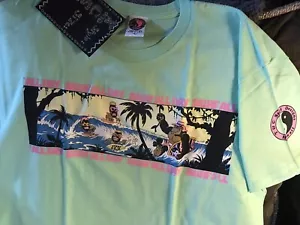 T&C Surf Designs T-shirt uomo grande anni 80 verde menta - Foto 1 di 2