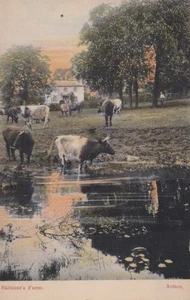 London Postcard - Skinner's Farm, Sutton SW19339 - Picture 1 of 2