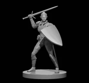 Elf Female Paladin - DND - Pathfinder - Dungeons & Dragons - RPG - Tabletop - mz - Picture 1 of 1