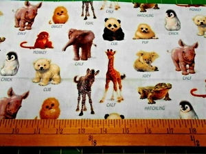 25" Elizabeth Studios Baby Animals Fabric - Picture 1 of 1