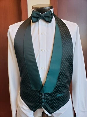 Tridescent Formal Vest - Excellent used condition - TRI - Image 1 of 4