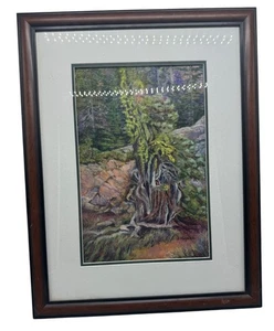Framed "Old Man In Hill" Artwork By J. Haynes Pastel On Paper Rustic Nature Scen - Picture 1 of 11