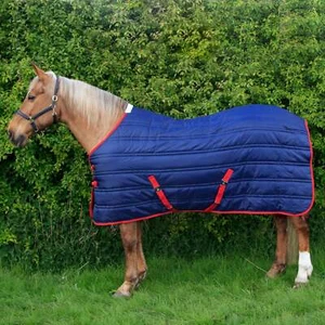 Whitaker Thomas Stable Rug 250g - Picture 1 of 4