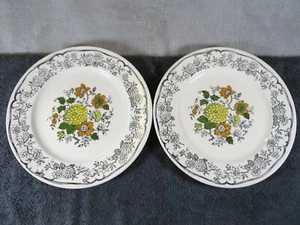 2 Lovely Quality Vintage Kathie Winkle Manderley Ironstone Floral Dinner Plates - Picture 1 of 6