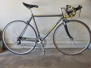 Titanium road bike, Macalu/Litespeed, Shimano 600 components, EMS fork - Picture 1 of 10