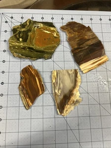 Petrified Wood Slab Lot- 4 Slabs - Old Stock - Crafts - Display - Lapidary Gems - Picture 1 of 5