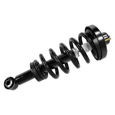 For Ford Expedition 07-17 Rear Driver or Passenger Side Complete Strut Assembly Foto 1 de 2