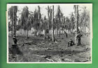 1943 AMERICAN HIT BY JAPANESE SNIPER WWII NEW GUINEA 4.5&quot;X6.25 D.O.I. PHOTO