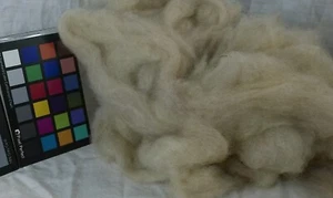 Romney wool roving varigated brown butter spin weave felting fiber arts - Picture 1 of 3