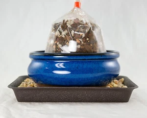 5" Oval Blue Stain Glazed Bonsai / Succulent Pot + Soil + Tray + Rock + Mesh Kit - Picture 1 of 9