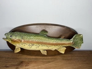 18" BROWN TROUT TAXIDERMY FISH With Wall Mount. One Eye - Picture 1 of 11
