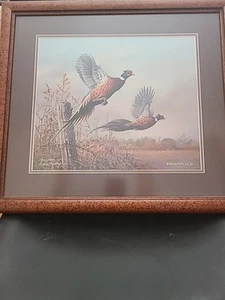Flying Color Farm 132 von 1000 Scott Zoellick 20x17,5 Fasane gerahmt - Bild 1 von 12