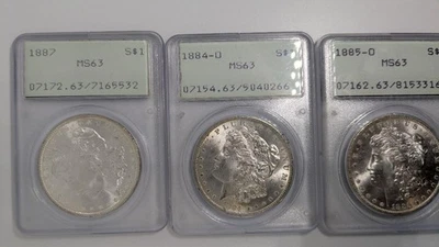 Lote de 3 dólares de plata Morgan OGH sin circular graduación profesional MS 63 Foto 1 de 4