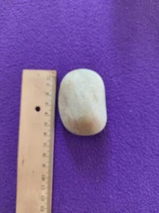 Scherzartikel Kartoffel aus Stein! - Bild 1 von 4