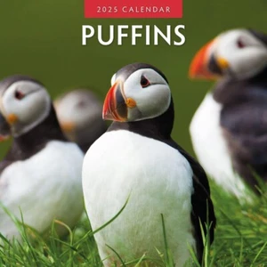 Puffins - 2025 Square Wall Calendar 16 month by Red Robin - Picture 1 of 4