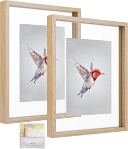 11x14 Floating Frame Set of 2, Double Glass Rustic Frame, Display Any Size Photo - Picture 1 of 12