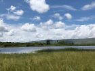 Digital Image Photo Wallpaper Background Blue Sky Green Savannah Grass Landscape