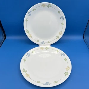 Corning Corelle Secret Garden 10 1/4" Essteller 2er Set Hergestellt in den USA - Bild 1 von 5