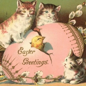 c.1910 Easter Greetings Postcard Kittens Watching Chick Hatching Decorated Egg - Picture 1 of 3