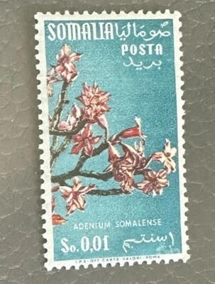 Somalia Afis 1955 - Flowers 1 Cent Stamp - RARE - Image 1 of 2