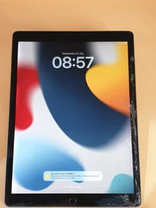 Apple iPad Pro 2da Generación 64 GB, Wi-Fi + 4G, 12.9" - Gris espacial LEER, SL32 - Imagen 1 de 18