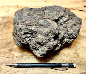 peat - peat from a former marsh/San Andreas fault - hand/display specimen - Imagen 1 de 2