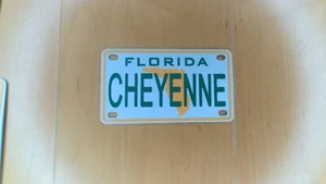Mini placa de metal Florida de 2"" x 4"" con tu nombre para bicicleta o bicicleta - Imagen 1 de 248