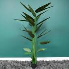 Potted Artificial Canna Plant Faux Fake Tall 160cm