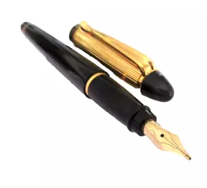 STYLO PLUME DE PRESTIGE AURORA MODELE IPSILON DE LA MAISON ITALIENNE NEUF OM47 - Imagen 1 de 12