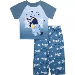 Bluey Toddler Boys' 2-Piece Pajama Set Short Sleeve Shirt and Pants Sleepwear - Picture 1 of 5