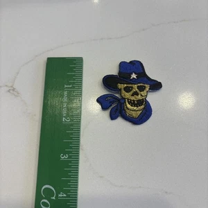 Pirate Skull Iron on Embroidered Patch Applique  NEW - Picture 1 of 1