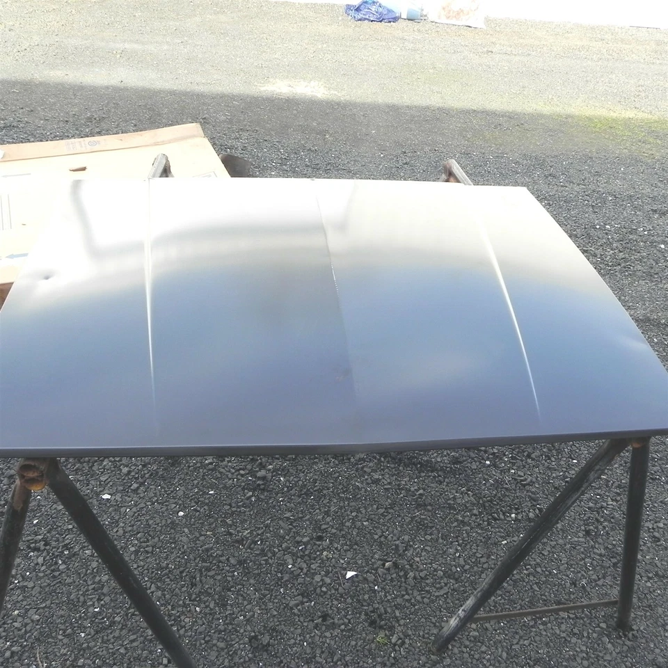 Pontiac 6000 1987-1991 capó fabricante original pieza nueva 10070690 vintage Foto 1 de 4