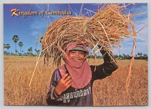 Postcard Kingdom of Cambodia Smiling while Harvesting Rice Fields - Picture 1 of 2